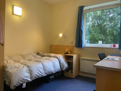 Room in a Shared Flat, Easton Lane, SO23