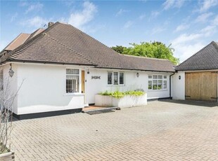 4 Bedroom Bungalow For Sale In Bromley