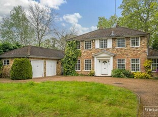 4 Bedroom Detached House For Rent In Sunningdale, Berkshire
