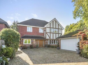 6 Bedroom House Bromley Greater London