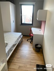 Room in a Shared Flat, Sheffield, S1
