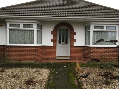 Bungalow to rent in Earlham Green Lane, Norwich NR5