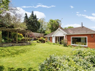 Detached bungalow for sale in Clapham, Exeter EX6