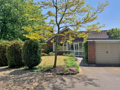Detached bungalow for sale in Hyde Lane, Marlborough SN8