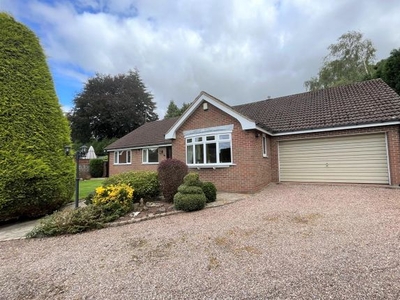 Detached bungalow for sale in Jerbourg Close, Newcastle-Under-Lyme ST5