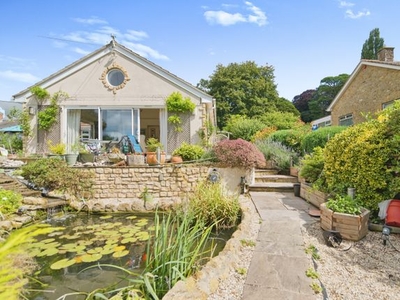 Detached bungalow for sale in Wadham Close, Ilminster TA19