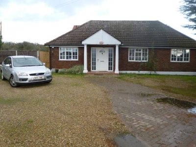 Detached bungalow to rent in Old House Lane, Roydon CM19