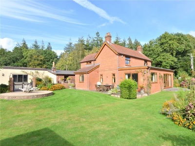 Detached house for sale in Broxhill, Fordingbridge SP6