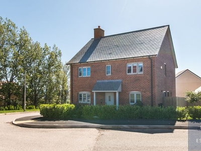Detached house for sale in Jersey Road, Exeter EX4