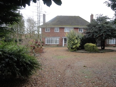 Detached house to rent in Paynes Lane, Feltwell IP26