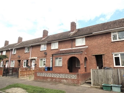 Terraced house to rent in Robson Road, Norwich NR5