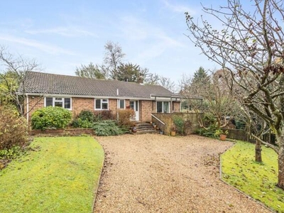 3 Bedroom Detached Bungalow For Sale In Crowborough