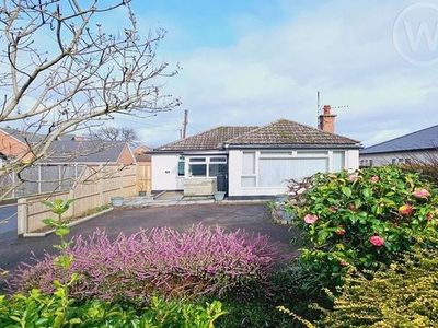 Detached bungalow for sale in Kings Acre Road, Hereford HR4