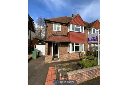 Semi-detached house to rent in Beech Grove, Guildford GU2