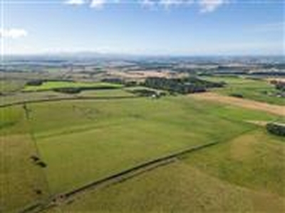 151.79 acres, Land at Ardenlea, Berwick-upon-Tweed, Scottish Borders, TD15, Lowlands
