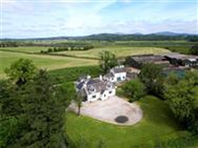 152 acres, Carsenestock Farm - Lot 1, Newton Stewart, Dumfries and Galloway, South West Scotland, DG8, Lowlands