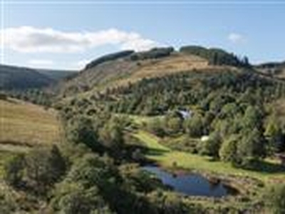 20 acres, Blackhouse, Yarrow Valley, By Selkirk, Scottish Borders, Lowlands