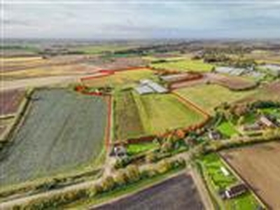 24.05 acres, Gosberton Bank Nursery, Gosberton Bank, Gosberton, PE11 4PB, Lincolnshire