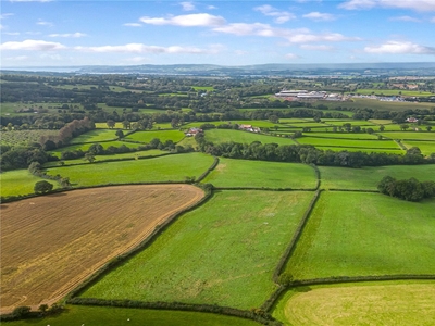 43.8 acres, Sanctuary Farm - Lot 2, Woodbury, Exeter, EX5, Devon