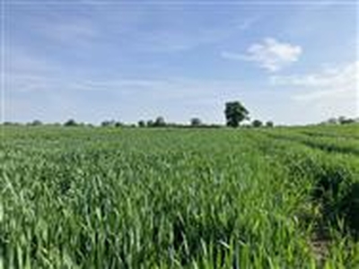 59.03 acres, Land At Whytegates Farm, Cottered, Buntingford, SG9 9QZ, Hertfordshire