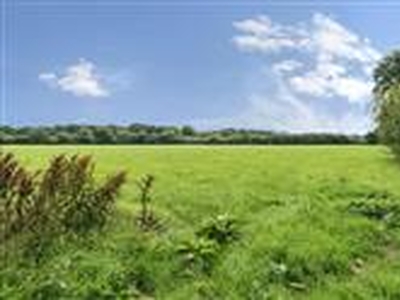 68.04 acres, Dunkeswell, Honiton, EX14, Devon
