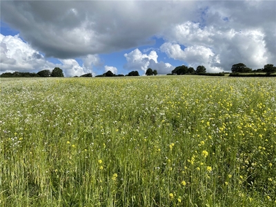 87.74 acres, Lot 1: Land At Libbear, Shebbear, Beaworthy, EX21, Devon