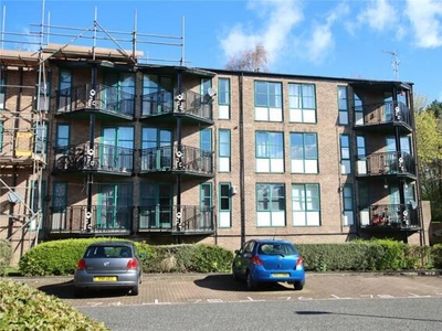 1 Bedroom Flat For Rent In Oxclose, Washington