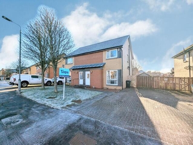3 Bedroom Semi-detached House For Sale In Motherwell