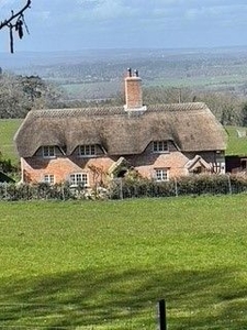 Cottage to rent in Creech, Nr Wareham BH20