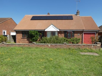 Detached bungalow to rent in Oakwood Avenue, West Mersea, Colchester CO5