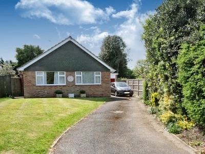 Detached bungalow to rent in Post House Lane, Great Bookham KT23