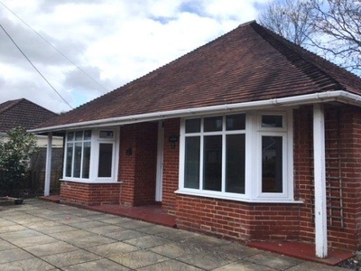 Detached bungalow to rent in Shaggs Meadow, Lyndhurst SO43