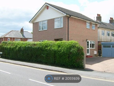 Detached house to rent in Malvern Road, Bournemouth BH9