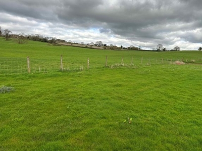 Land to rent in Sandy Cross Farm, Edvin Loach, Bromyard HR7