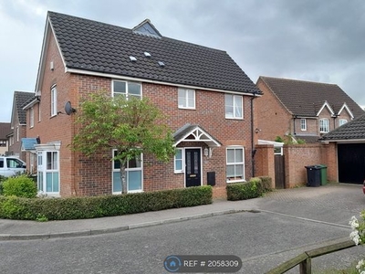 Semi-detached house to rent in Petty Spurge Square, Wymondham NR18