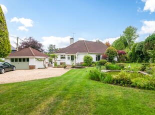 Bungalow for sale in Hawkins Lane, West Hill, Ottery St. Mary EX11