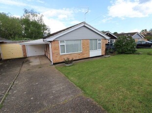 Detached bungalow to rent in Barnardiston Way, Witham CM8