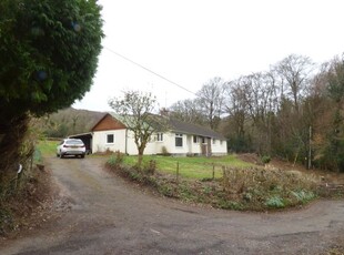 Detached bungalow to rent in Ilsington, Newton Abbot TQ13