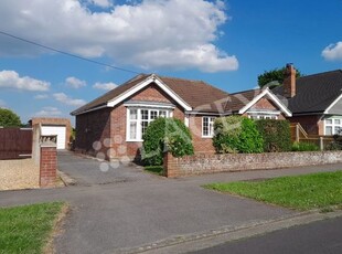 Detached bungalow to rent in Wraxhill Road, Yeovil BA20