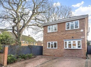 Detached house to rent in Norreys Avenue, Wokingham RG40
