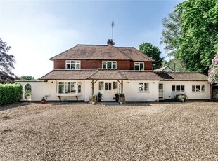 Detached house to rent in Old Forge Lane, Horney Common, Uckfield, East Sussex TN22
