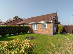 Semi-detached bungalow to rent in Exeter Avenue, Radcliffe, Manchester M26