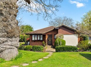 Semi-detached bungalow to rent in Oakmead Green, Epsom KT18