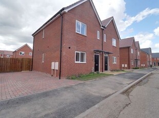 Semi-detached house to rent in Daffodil Street, Stafford ST17