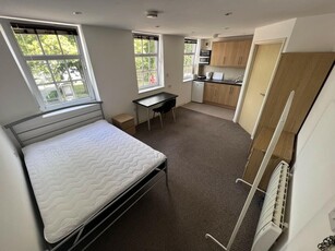 1 bedroom flat for rent in Far Gosford Street, Stoke, Coventry, CV1