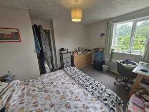1 bedroom semi-detached house to rent Attleborough, NR17 1QT