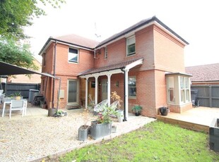 Semi-detached house to rent in Cornfield Road, Bury St. Edmunds IP33