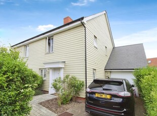 Semi-detached house to rent in William Porter Close, Chelmsford, Essex CM1