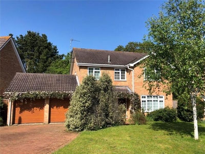 5 Bedroom Detached House For Sale In Barton On Sea, Hampshire