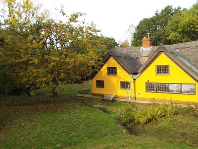 Cottage to rent in Fishers Cottage Mill Hill, Manningtree CO11
